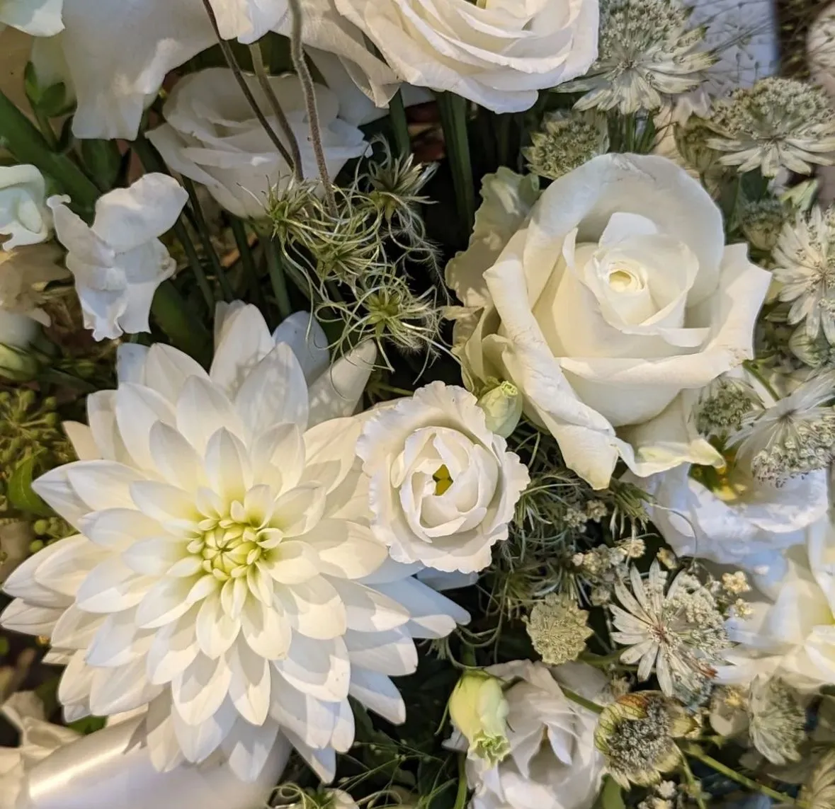 Blumen von Freie Rednerin SARAH VAN DETTEN-PREUSS